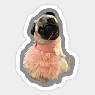 A Beautiful Pug wearing a pink tutu Sticker